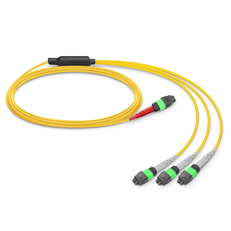 OS2 24芯MTP®-24 APC（母头）转2xMTP®-8 APC（母头）单模转换跳线，Plenum（OFNP），极性B，黄色
