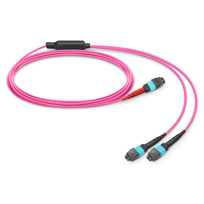 OM4 24芯MTP®-24 UPC（母头）转2xMTP®-12 UPC（母头）多模转换跳线，Plenum（OFNP），极性A，橘红色