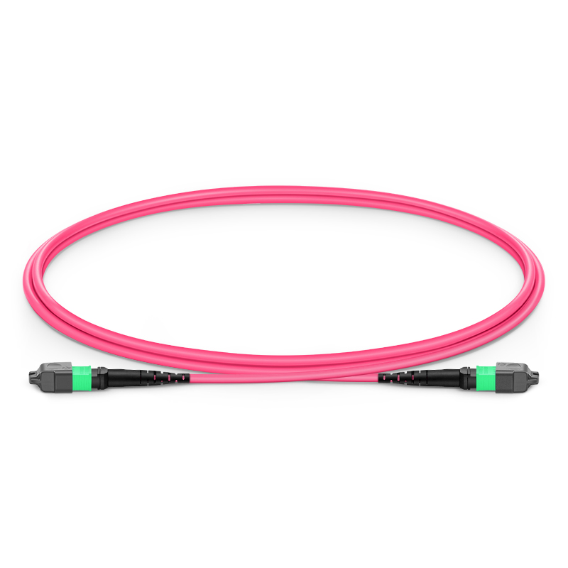 MTP®光纤跳线，MTP®-12 APC (母)转MTP®-12 APC (母)，12芯，多模(OM4)，Plenum (OFNP)，极性B，品红色
