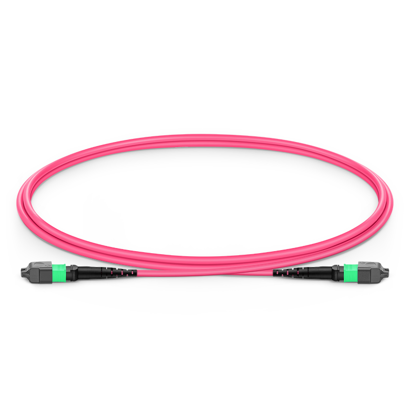 OM4 16芯MTP®-16 APC（母头）转MTP®-16 APC（母头）多模光纤跳线，Plenum（OFNP），0.35dB，品红色