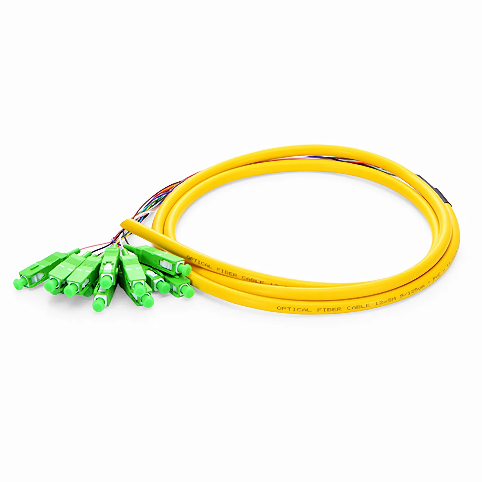1.5m 12芯SC/APC单模OS2束状光纤尾纤-0.9mm PVC(OFNR)